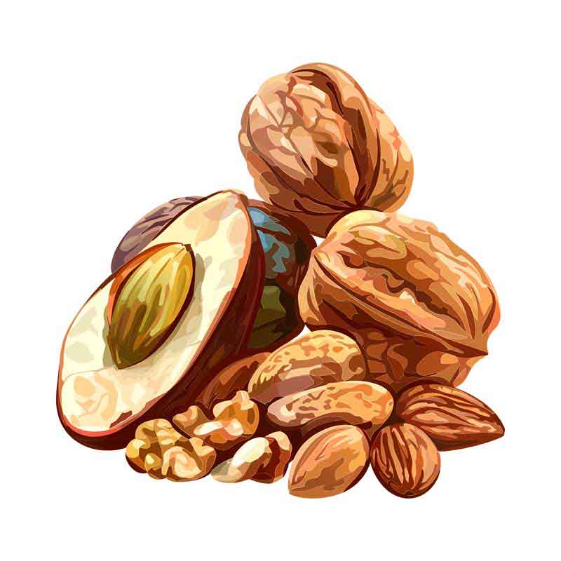 دانلود طرح بادام و گردو