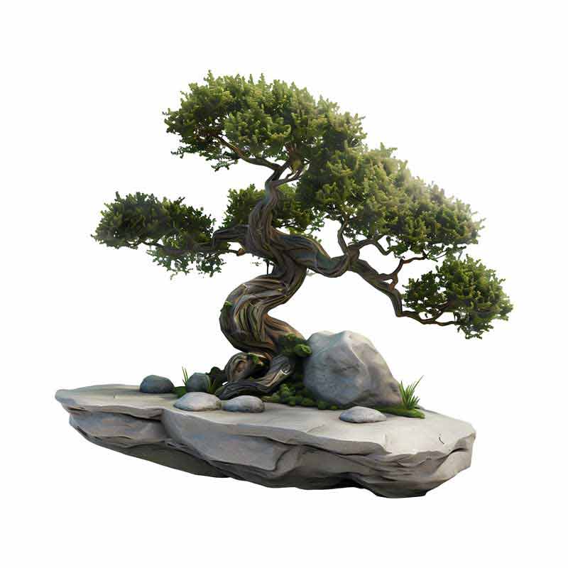 دانلود طرح درخت روی صخره