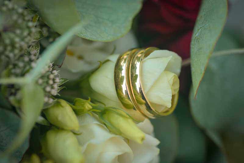 دانلود تصویر با کیفیت ست حلقه روی گل