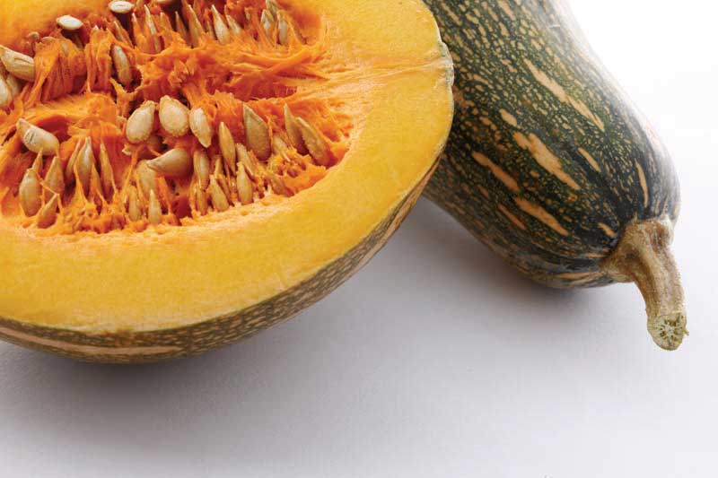 تصویر زیبا از کدو حلوایی