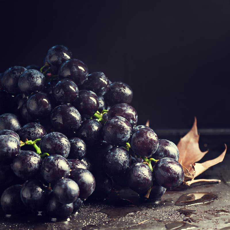 تصویر زیبا از انگور مشکی