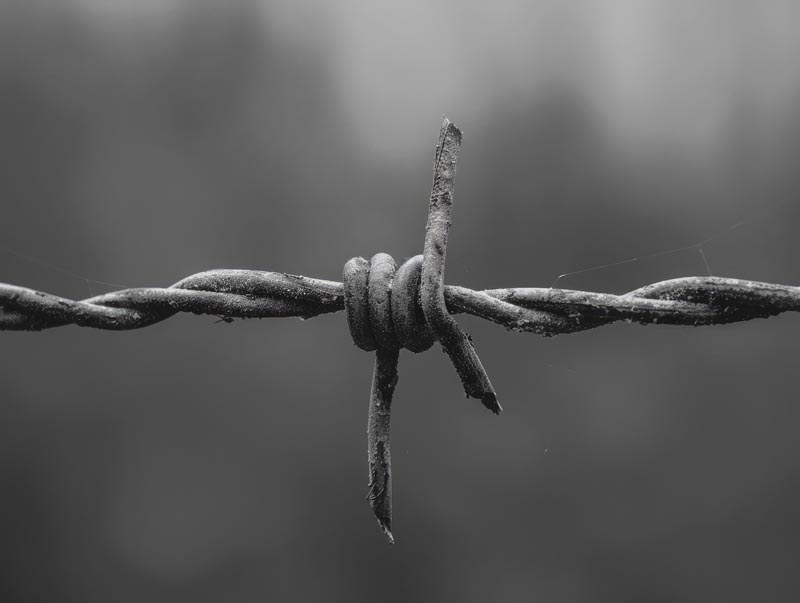 تصویر با کیفیت سیم خاردار