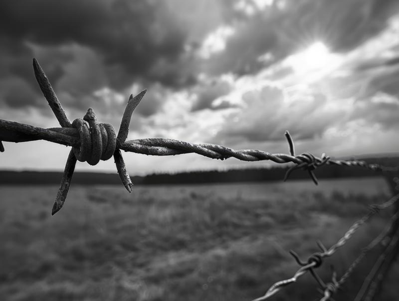 تصویر با کیفیت سیم خاردار جنگی