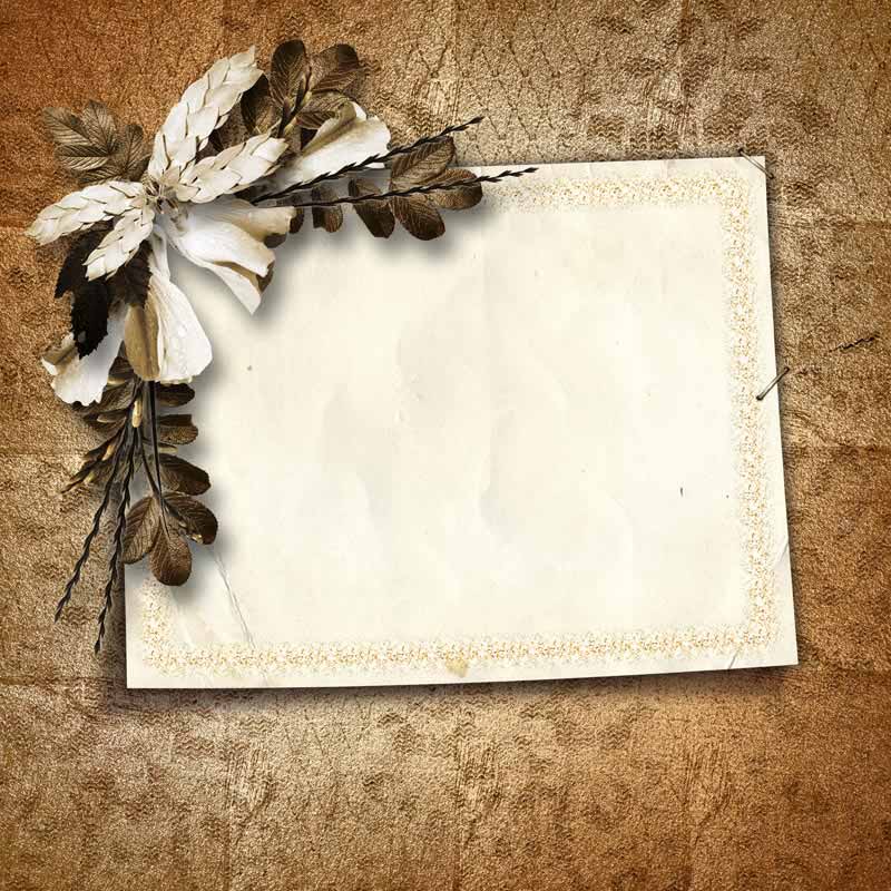 تصویر پس زمینه گل و کادر کرمی