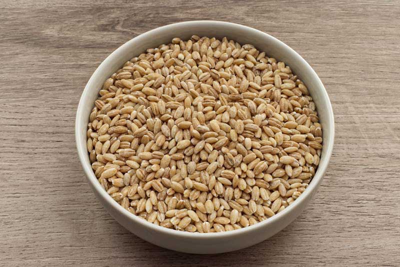 عکس با کیفیت از کاسه گندم