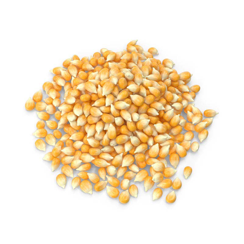دانلود طرح ذرت