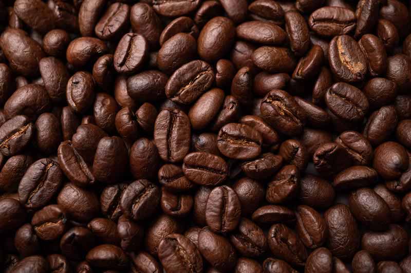 عکس زیبا از دانه های قهوه درشت